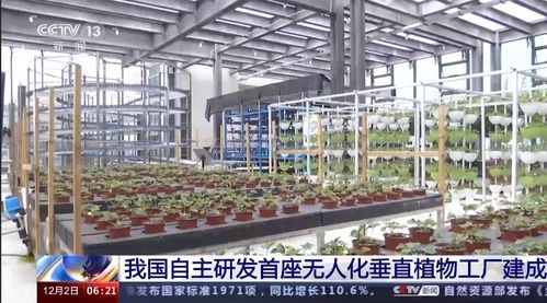 我國自主研發首座無人化垂直植物工廠建成 高樓種菜引領生物技術農業新紀元